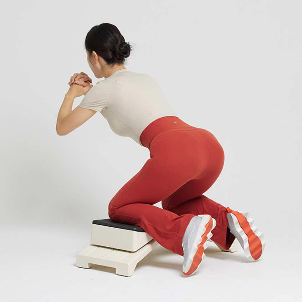 Premium Trainer